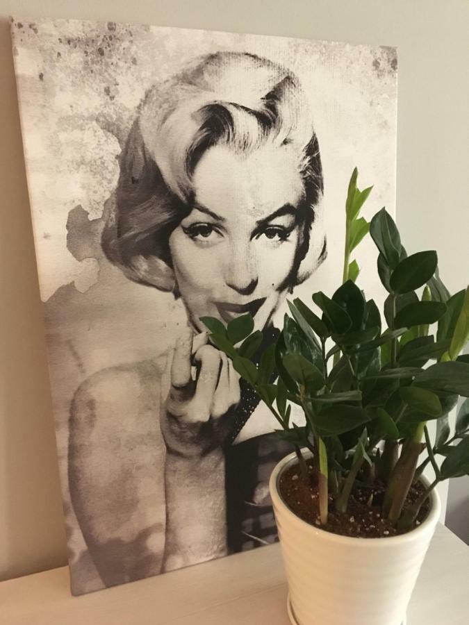 Apartament Studencka Jelenia Góra Eksteriør bilde